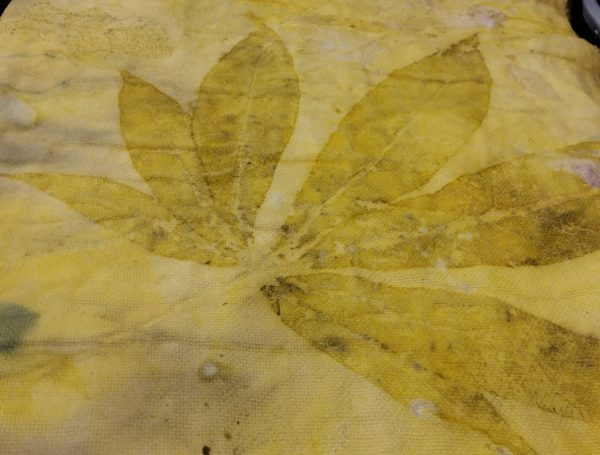 Tintura con foglie di fico