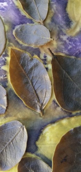 ecoprint con foglie di viburno