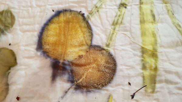 Impronta in ecoprint gialla