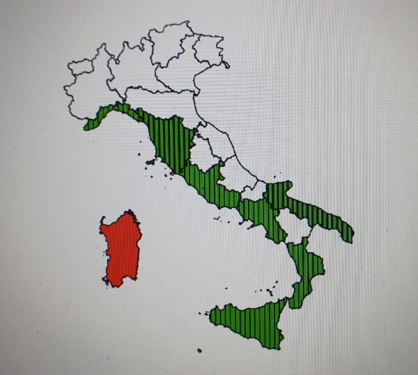 Presenza della casuarina in Italia