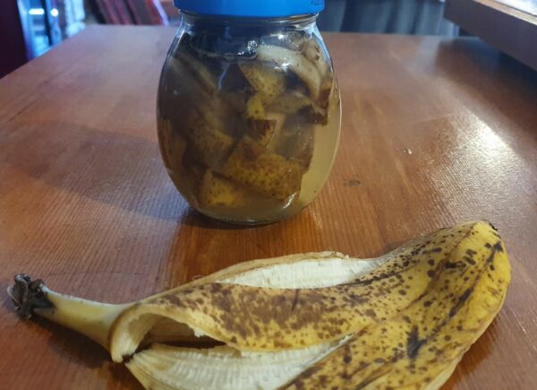 estrazione tannino da bucce di banana