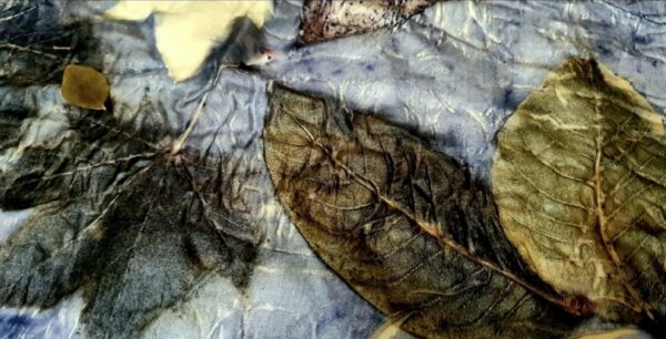 Autunno tempo di tannini Autunno tempo di tannini
